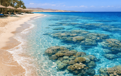 Czy w Marsa Alam jest bezpiecznie – czy rekiny są realnym zagrożeniem